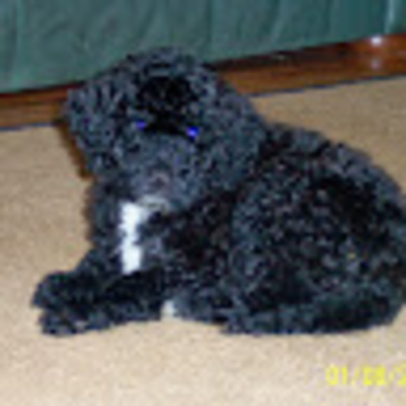 Meet your Posher, B - Picture 1 of 1